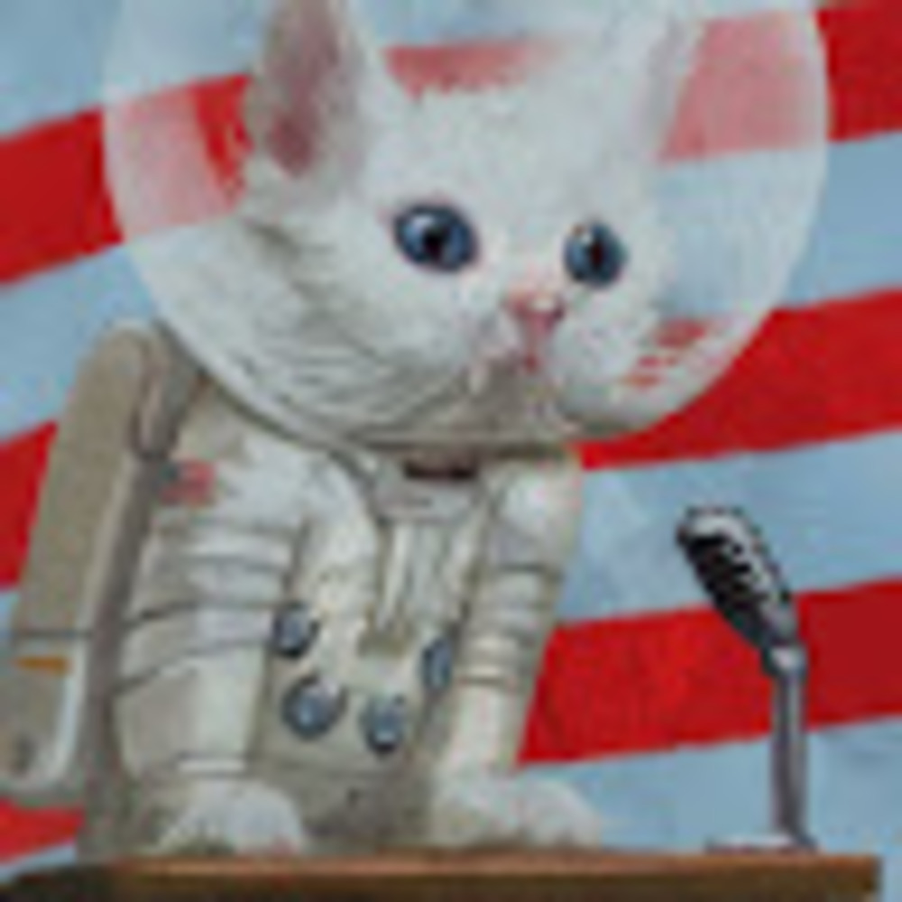 Meet your Posher, Matthew